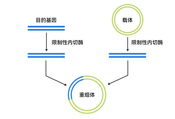 生物反应器