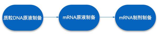 mRNA药物生产工艺步骤 mRNA药物生产工艺步骤