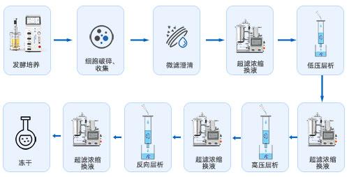 生物发酵下游工艺 生物发酵下游工艺